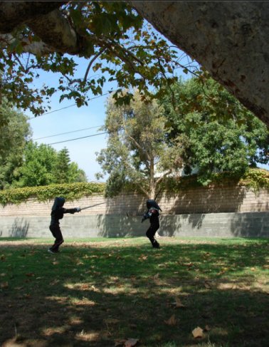 sparring in the park